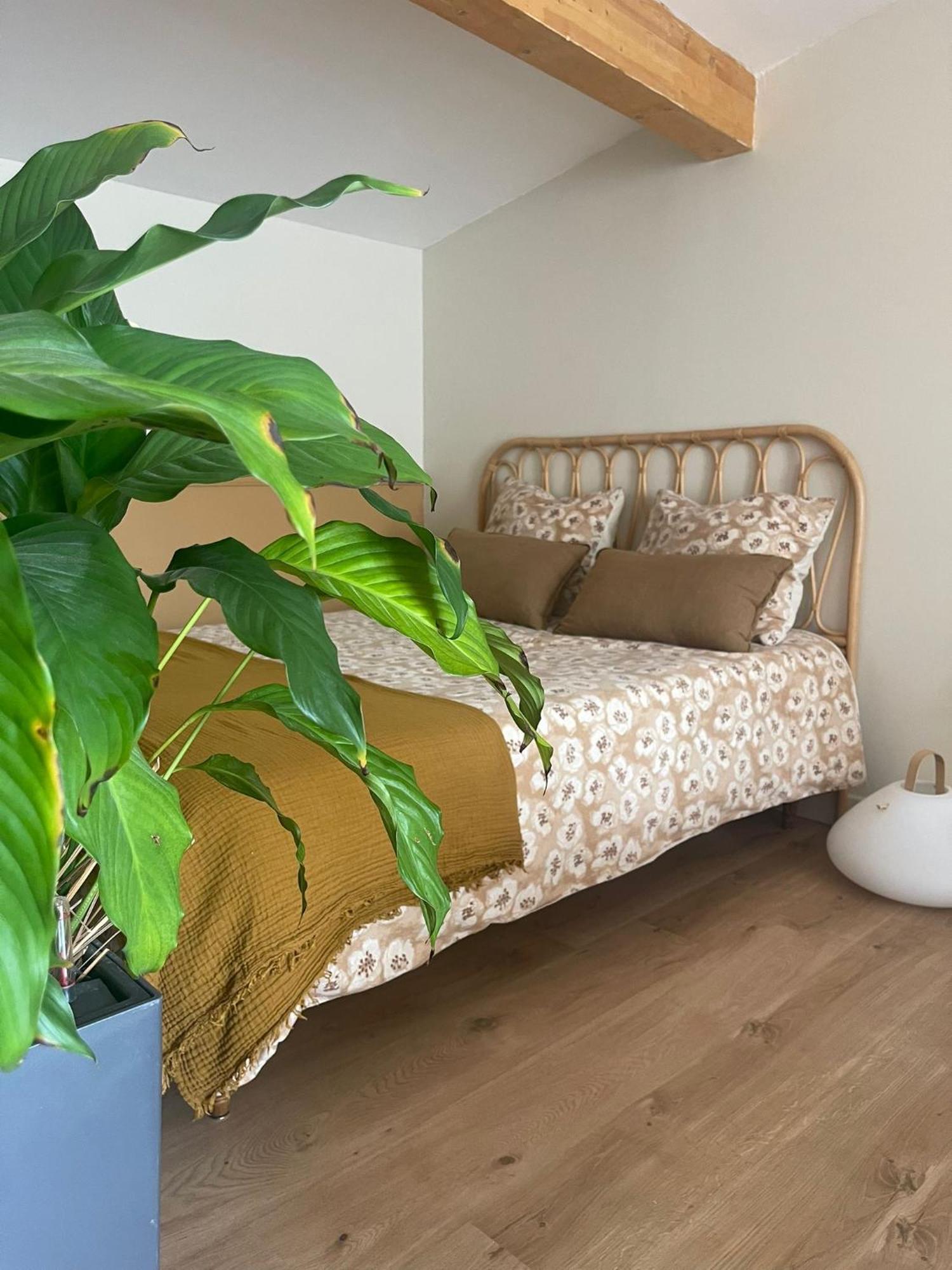 Studio Cosy Castanet-Tolosan Kültér fotó